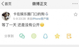 吃瓜爆料在哪里找,吃瓜爆料，揭秘娱乐圈幕后真相